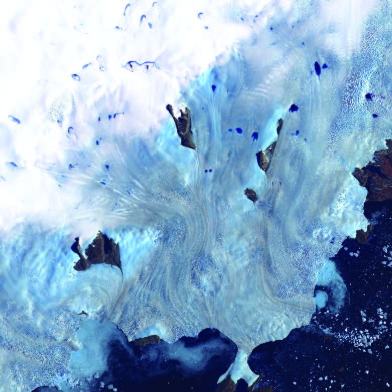 净零与盈利，“鱼”与“熊掌”可兼得 