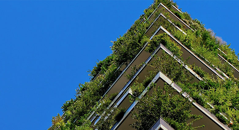 为净零经济提供动力